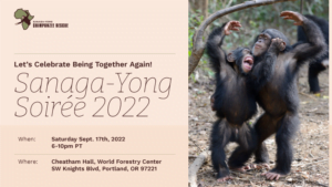 Sanaga-Yong Chimpanzee Rescue